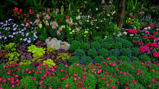 春天公园花坛花园花境春暖花开