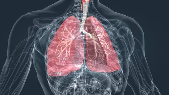 医学 肺功能 肺呼吸 肺活量 深呼吸动画