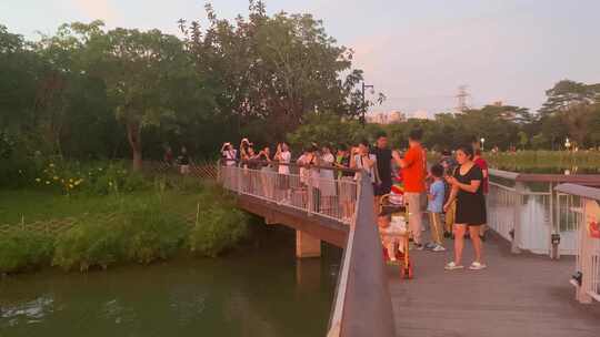 夕阳 晚霞 落日 日落 晚上 傍晚 深圳