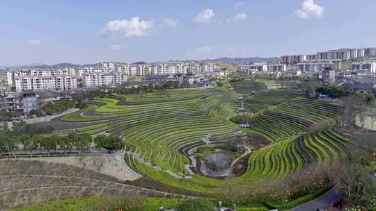 奢香古镇城中梯田