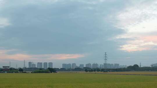 朝霞下的稻田田园风光延时