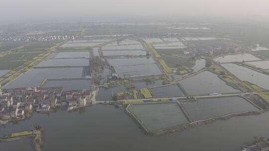 江苏常州溧阳戴埠油菜花风光航拍