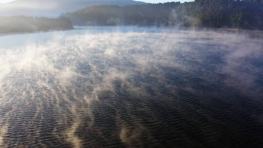 清晨唯美的湖面雾气视频素材模板下载