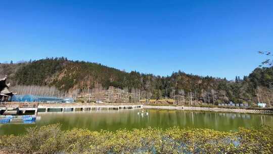 鱼塘池塘野外风景