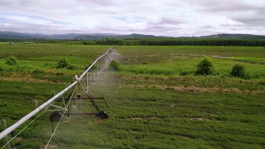 小麦灌溉 现代化农田 农业视频素材模板下载