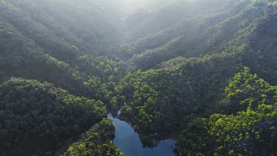 中山长江水库自然保护区