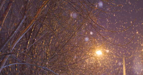 夜晚下大雪