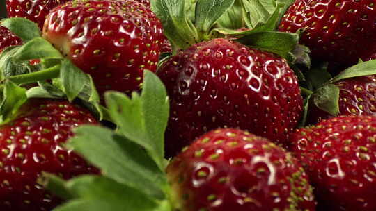 草莓 水果 草莓特写 草莓成熟