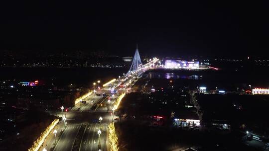 天津 宁河 夜景 商业街  航拍视频素材模板下载