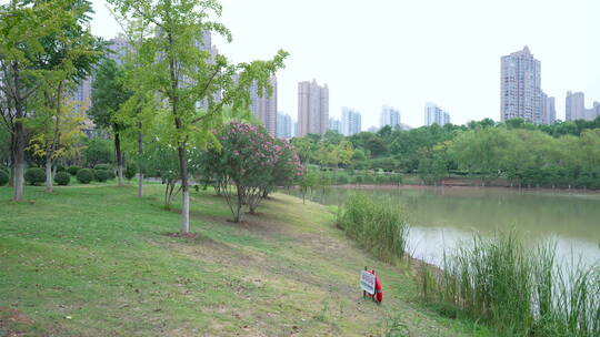 武汉江夏韵湖湿地公园风景