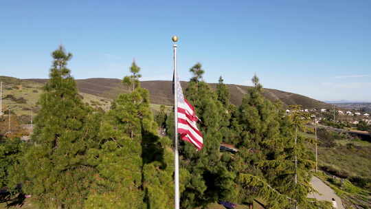 挥舞着光荣美国国旗的杆子被树木包围