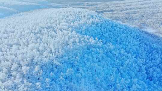 航拍大兴安岭冬日梦幻绝美雾凇雪凇