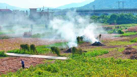 农村田野秸秆焚烧场景