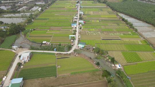 城市郊区农田航拍