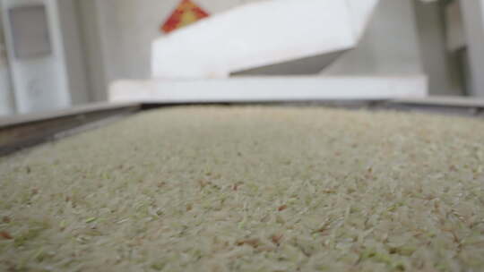 大米米厂加工过程