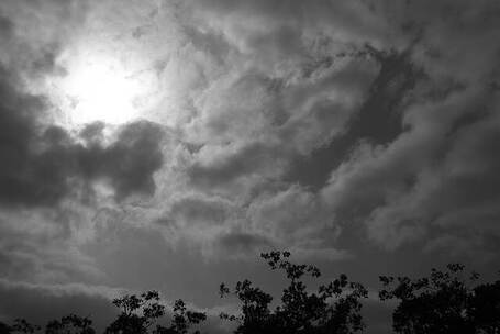 寄畅园石 诡异 美丽 不an 合成器