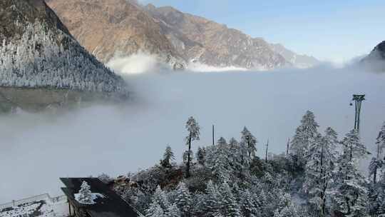 冬季海螺沟冰川森林公园雾凇雪景云海航拍