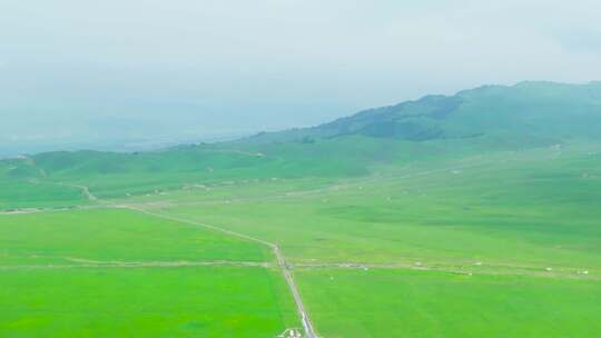4K航拍新疆满屏那拉提绿色草原美景