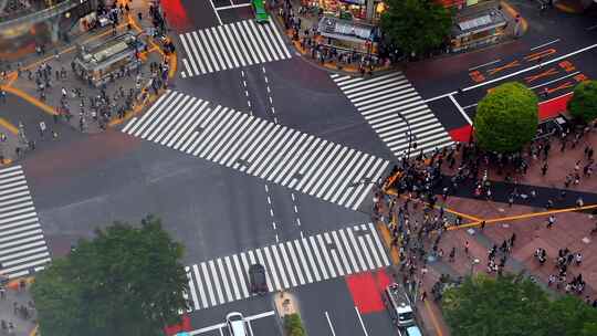 东京，人行横道，道路，人群