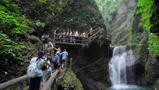 成都青城山后山峡谷森林步道溪流自然景观