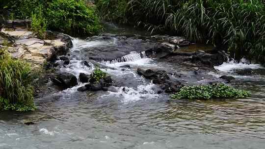 山间小溪水河流水阳光树林视频