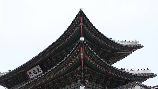 首尔景福宫屋顶的一部分