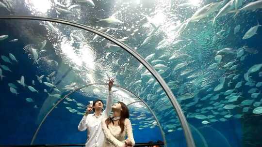 参观 水族馆 海底世界