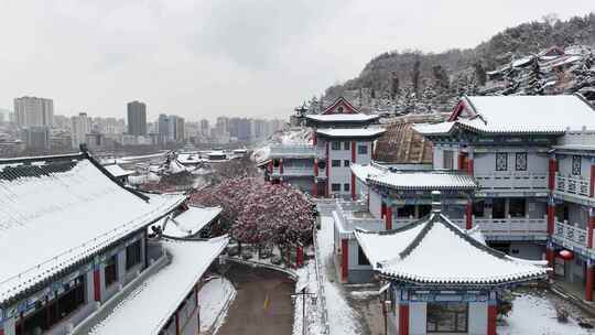 城市雪景航拍