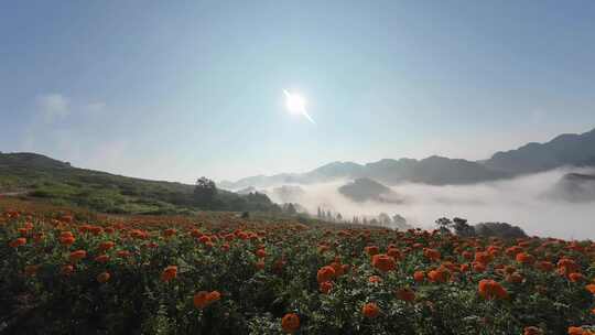 花海与峰丛