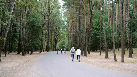 林间小路悠闲空镜