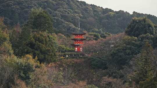 京都，宝塔，游客，寺庙