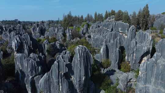 云南昆明石林风景区