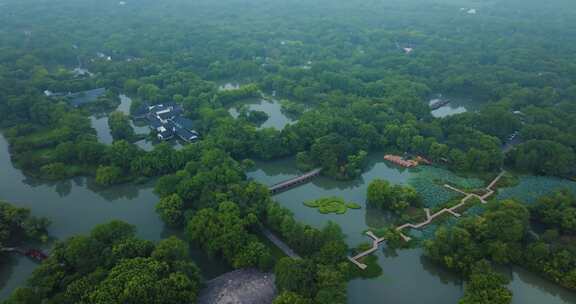 杭州西溪湿地公园夏天风光航拍