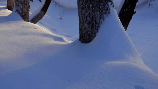 冬天公园老树小河雪景