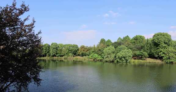 蓝天白云苏州太湖湿地国家森林公园自然风光