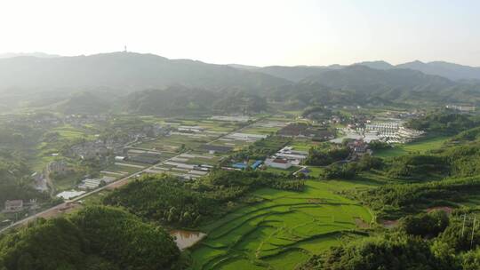 航拍乡村田园农业种植农田