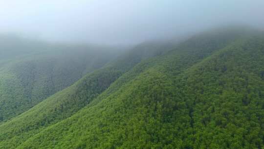 航拍山区云雾竹山青山绿水烟雾缥缈空镜头