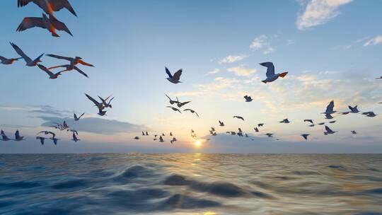 4K 海鸥在大海飞翔升格慢镜头视频素材模板下载