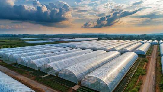 航拍农业大棚基地【4K】