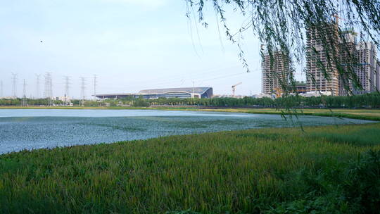 武汉杨春湖城市生态公园风景