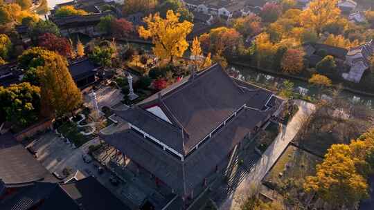 浙江嘉兴梅花洲石佛寺千年银杏航拍