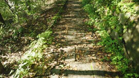 春天山路登山爬山脚步