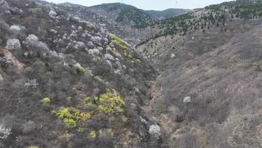 山西运城中条山景色（春季、夏季)