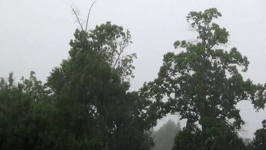 下雨雨落地面镜头