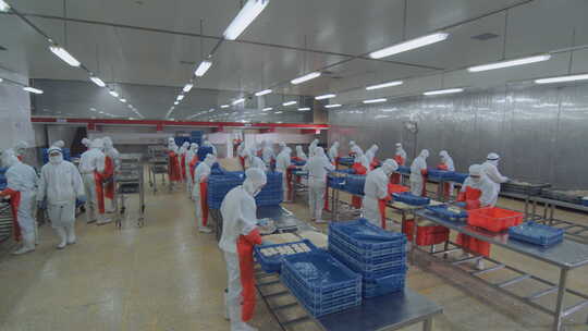 海参加工生产线工人在流水线上处理海鲜制品