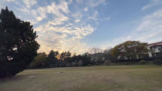 4k 日落下的城市园林自然风光特写