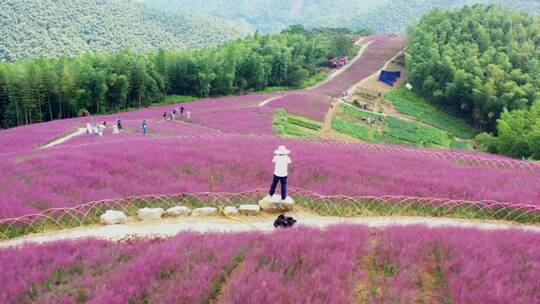 自然风光，人生如景，景如人生，美在山水间