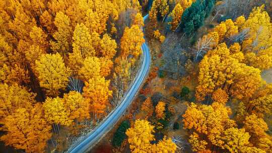 深秋霜降内蒙古公路秋色旅行风光