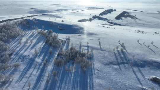 北方冬季雪原景观