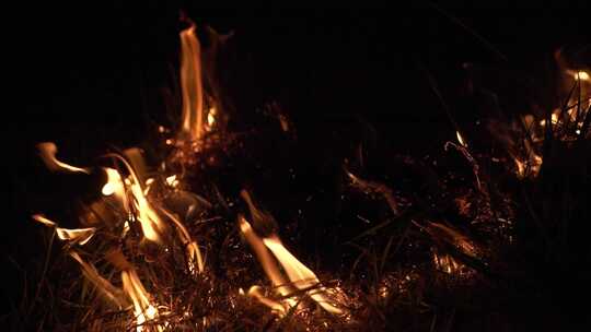 晚上的野火。火焰在慢动作的草火中燃烧。